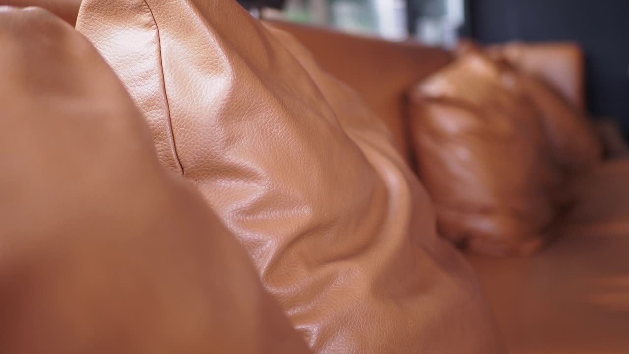 Brown Leather Pillows on a Sofa