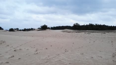 Flying-over-sandbanks-on-an-overcast-day