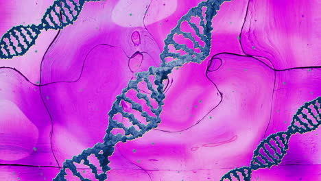 animación de cadenas de adn azules que giran en líquido rosado que se mueve sobre los azulejos