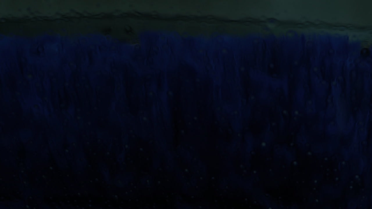 lavado de autos visto desde el interior del vehículo