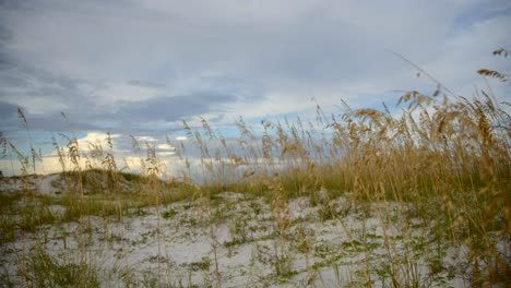 Sunset-on-the-dunes-by-the-beach-with-an-anamorphic-lens