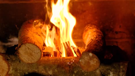 firewood being set on fire