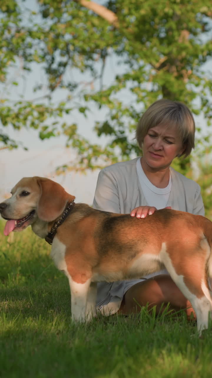dueño del perro sentado en el campo cubierto de hierba frotando la espalda del perro cariñosamente hasta su cola mientras mira pensativo, mientras el perro disfruta del momento de comodidad, el fondo cuenta con vegetación exuberante y árboles