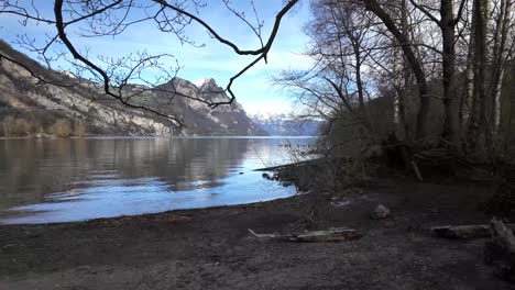 perspective view of swiss mountains from dry woods with a white dog playing at shore of lake in forest