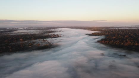 sunrise over the amazon rainforest, aerial shot