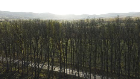 View-Of-White-Car-Passing-By-Tree-Lined-And-Paved-Country-Road-In-Tianeti,-Eastern-Georgia