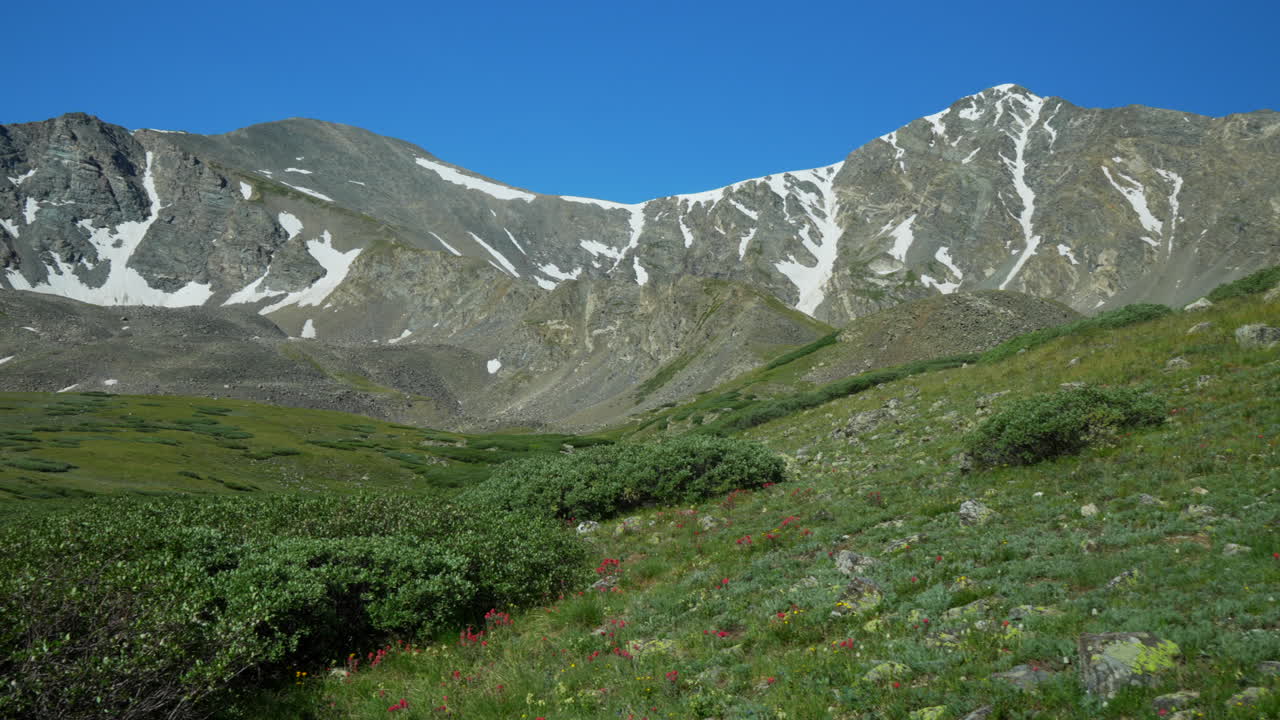 panorámica cinematográfica a la izquierda grises y torres 14er montañas rocosas picos de colorado mediodía soleado verano amarillo flores silvestres tranquilo arroyo cielo azul nieve impresionante en la parte superior hermosa mañana amplia cámara lenta