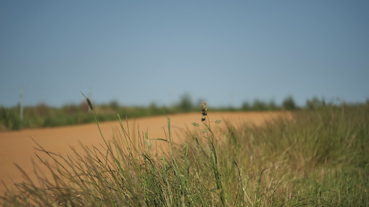 Focus transition of horses running around racing track