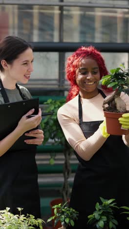 two women inspecting bonsai plants in a greenhouse