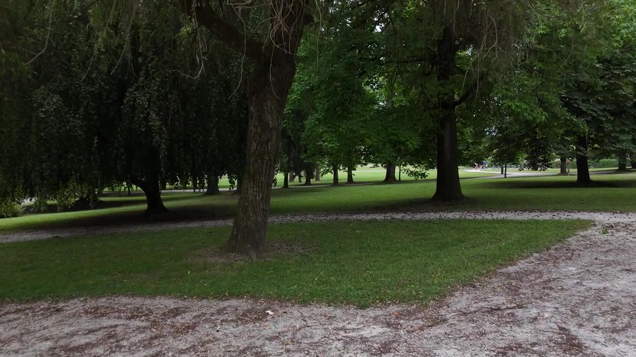 Paysage de parc paisible avec des arbres en mouvement cinématographique