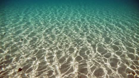 Reflejos-De-Los-Rayos-Del-Sol-En-El-Fondo-Del-Lago-Ohrid-En-Macedonia-Con-Agua-Muy-Clara-Y-Transparente