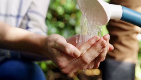 Couple-watering-plant-in-garden