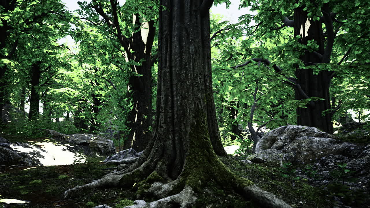 Majestic tall tree with sprawling roots in a lush green forest setting