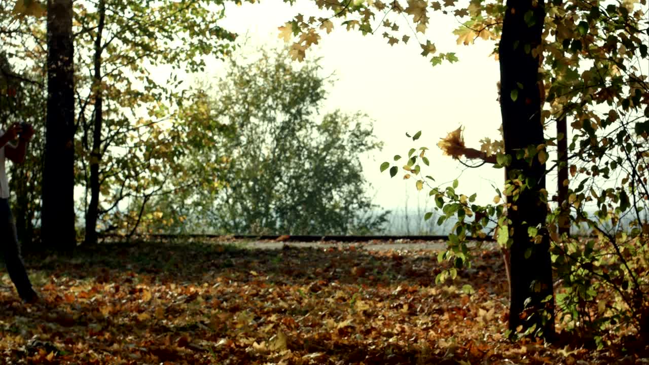 молодая женщина с осенними листьями в руке и осенним желтым кленовым деревом