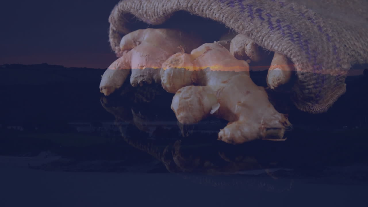 Ginger roots on dark reflective surface, partially covered by burlap