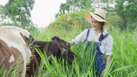 woman interacting with cow in a grassy field