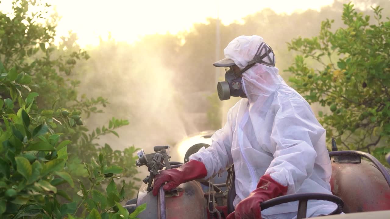 Anonymous farmer spraying pesticide on lemon trees while riding tractor