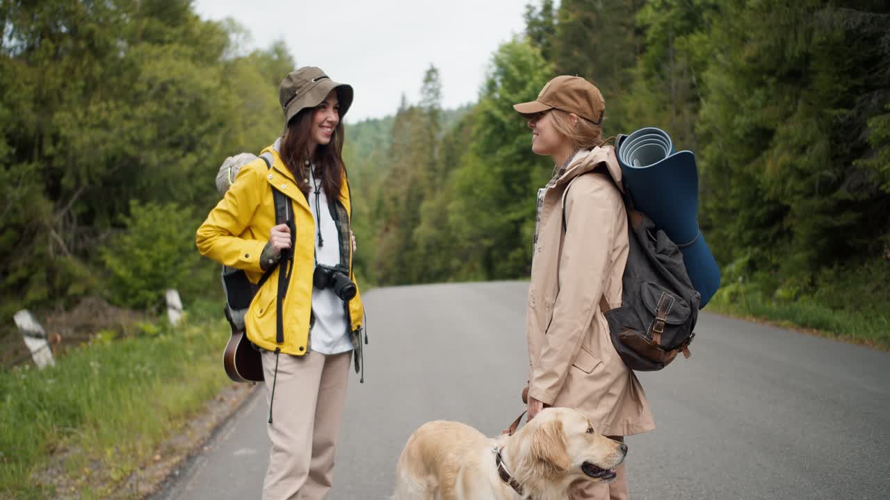 Two girls, a blonde and a brunette, in special tourist hiking clothes with large backpacks, together with their light-colored dog, stand near the road and communicate against the backdrop of a green forest