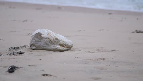 empty plastic bag on the shore, trash and waste litter on an empty baltic sea white sand beach, environmental pollution problem, overcast day, medium shot