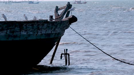 a boat anchored in chonburi's coastal waters