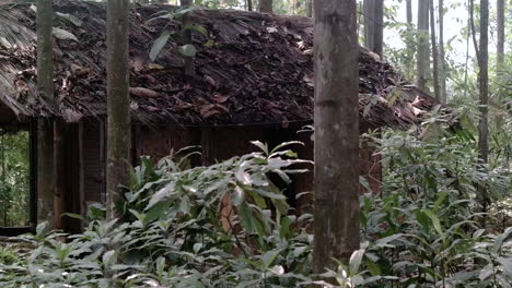 hut in the middle of the wilderness