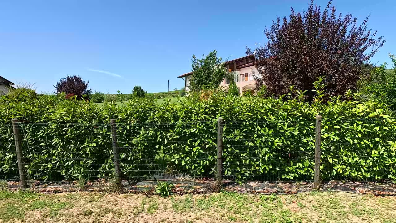 Un paseo tranquilo pasando casas y vegetación