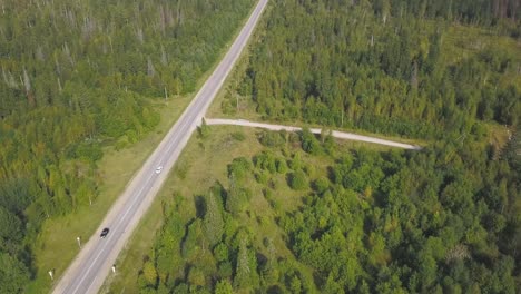 vista aérea de un camino a través de un bosque