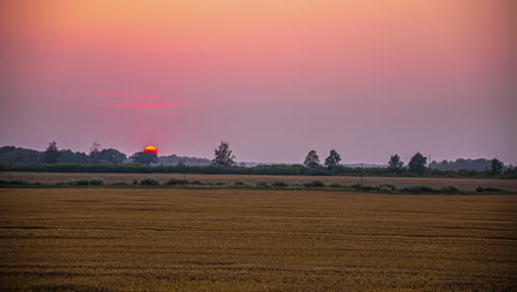 golden glowing sunset beyond farmland fields as a combine harvester passes by - time lapse