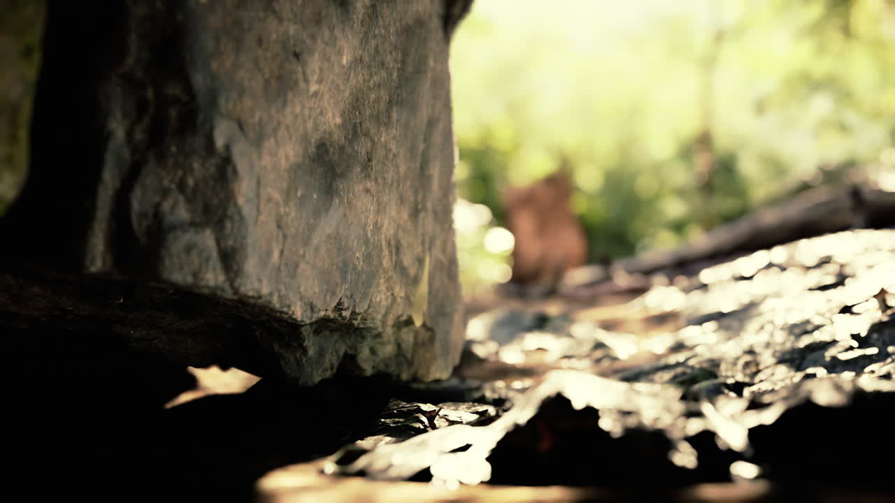 tomada desde el interior de una pequeña cueva mirando hacia afuera