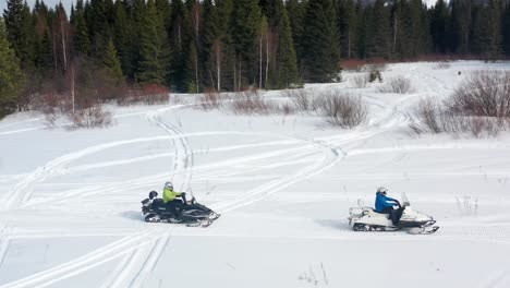 motos de nieve en un bosque nevado