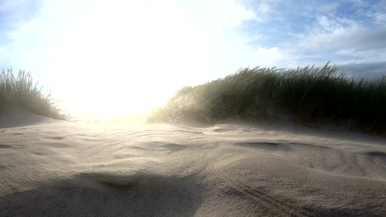 dunas de arena con hierba de dunas en la tormenta del mar del norte, dunas de senderismo, protección de diques, sondervig, jutlandia, dinamarca, 4k