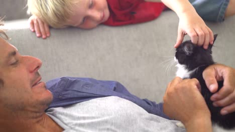 modern dad holding cat for son to pet on couch