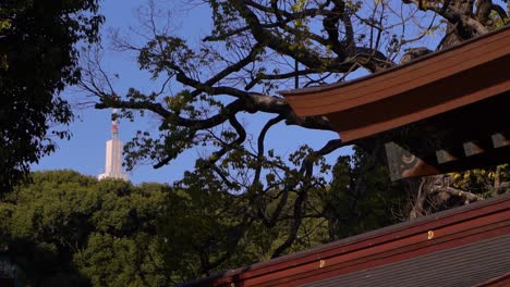 Slide-reveal-of-modern-Shinjuku-Tower-behind-roof-of-ancient-Meiji-Shrine-in-Tokyo