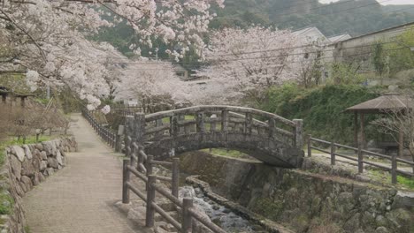 okawachiyama, the porcelain hidden village in saga prefecture, kyushu, japan during cherry blossom season