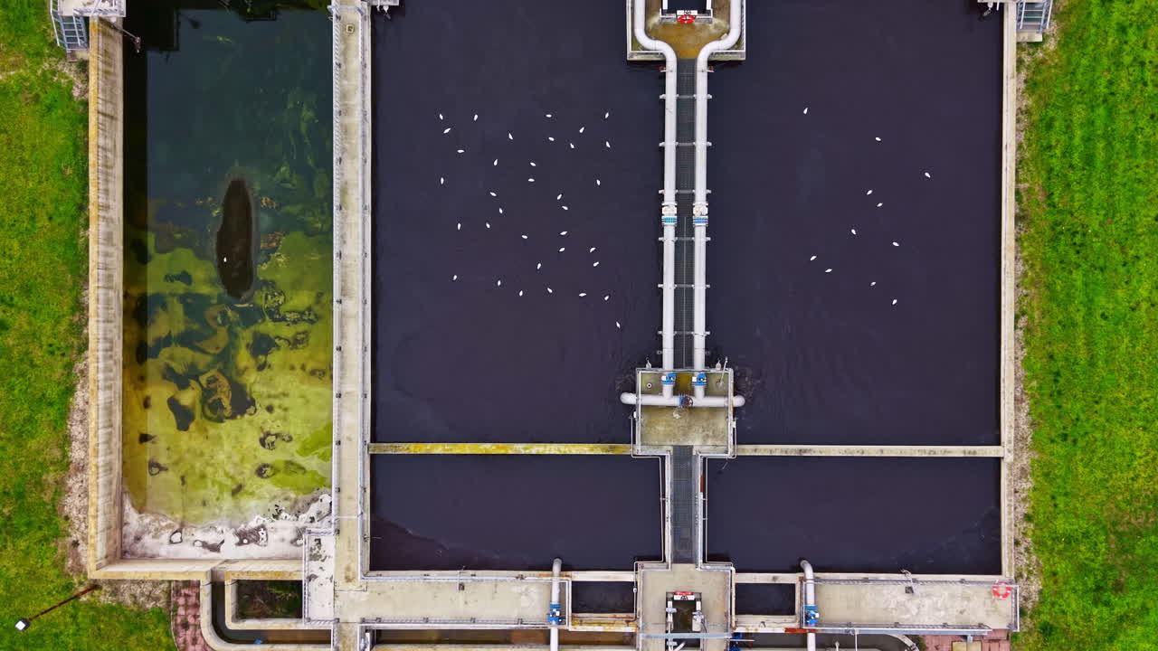 Water treatment plant with clear and dark water sections and birds in flight observed from above during daytime