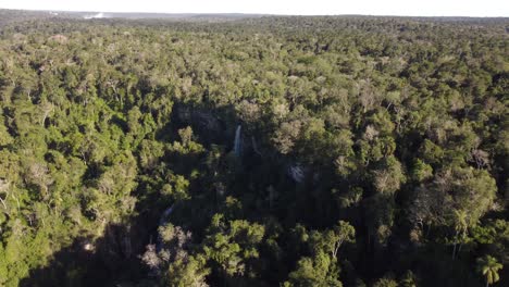 Aerial-view-of-deep-Iguazu-Jungle-during-sunny-day-with-hidden-waterfall-in-South-America