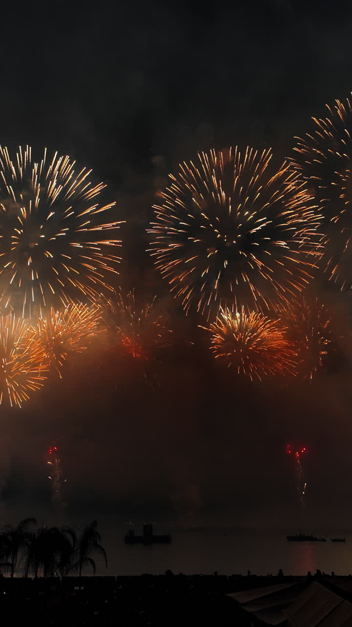 Fireworks on the sky at the Cannes Fireworks Festival at night. Vertical