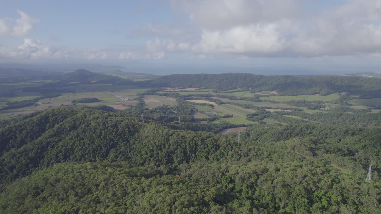 포트 더글라스 마을, 더글러스 샤이어, 퀸즐랜드, 호주의 산림과 녹지