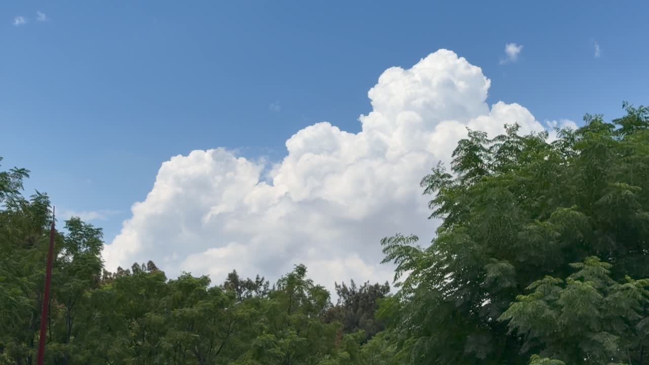 Canopies of trees in a jungle, against a backdrop of clouds in the sky