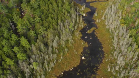 Imágenes-Aéreas-De-Principios-De-Otoño-De-Un-Lago-Remoto-En-El-Norte-De-Maine-Inclinándose-Para-Revelar-Un-Arroyo-Que-Desemboca-En-El-Lago