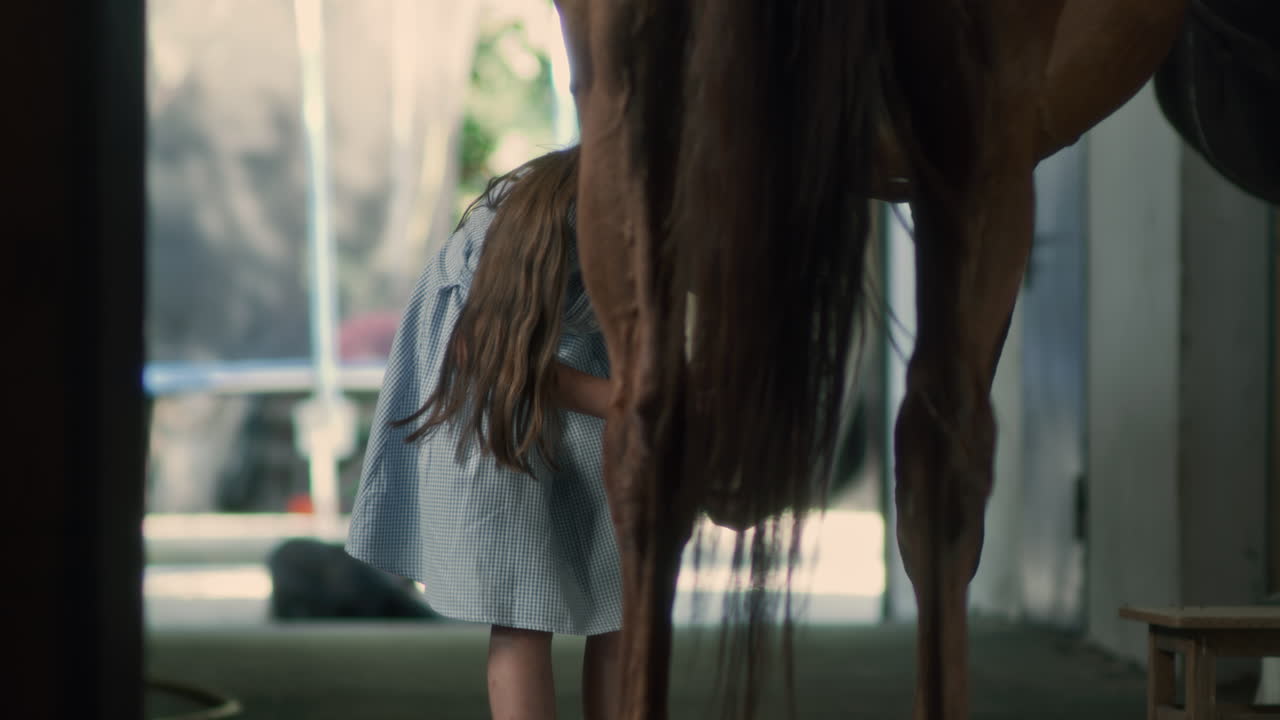Girl Grooming a Horse