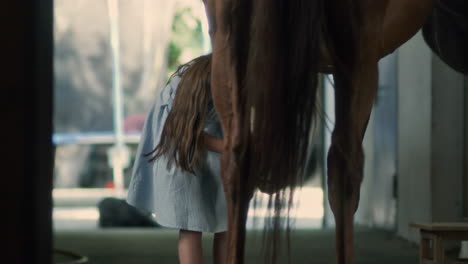 girl grooming a horse
