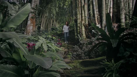 woman hiking in a tropical forest