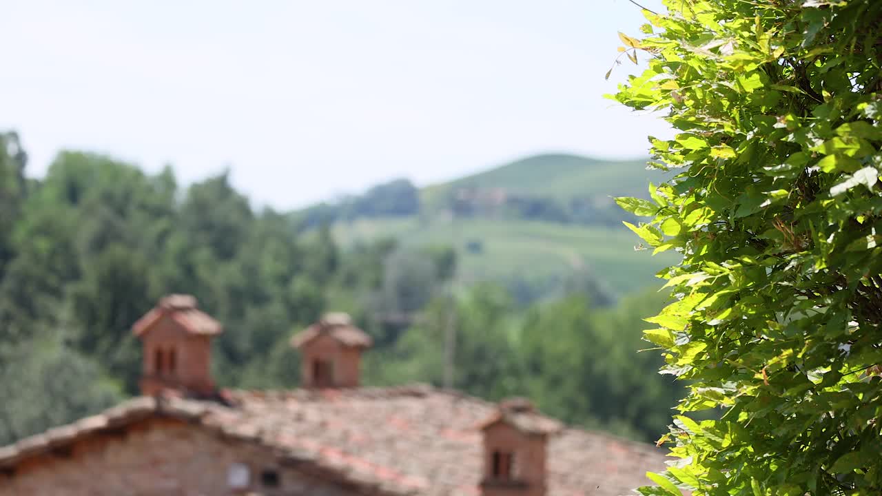 Vegetazione lussureggiante e tetti a Torino, Italia