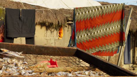 Trocknen-Von-Fisch-Unter-Der-Afrikanischen-Sonne-Im-Traditionellen-Fischerdorf-Ghana-Moree