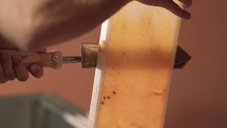 Close-up-of-apiary-beekeeper-Hand-Using-A-Knife-spatula-To-Clog-Honeycombs-With-Honey-wax-In-a-wooden-Frame