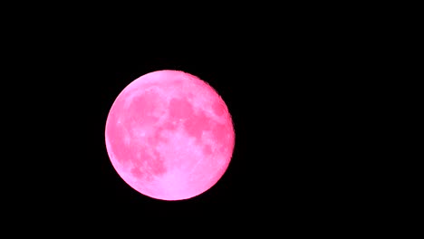 concepto de arte colorido con bucles, luna llena rosada, diseño minimalista de movimiento de parada, tendencia surrealista, magenta