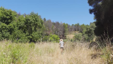 a person with a straw hat walking through an idylic meadow