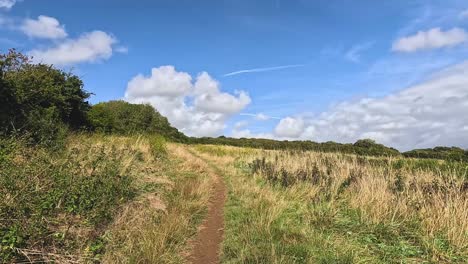 a tranquil walk through a countryside path