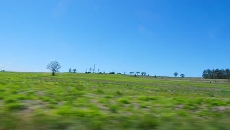 Autoperspektive-Fahren-Auf-Asphaltierten-Straßen-In-Australien,-Road-Trip-In-Queensland